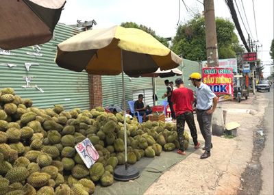Vì sao sầu riêng vỉa hè TP.HCM có giá rẻ 30.000 đồng/kg?