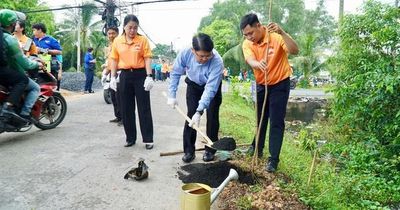 Xã Bình Chánh, TPHCM: Người dân hào hứng hưởng ứng Tết trồng cây