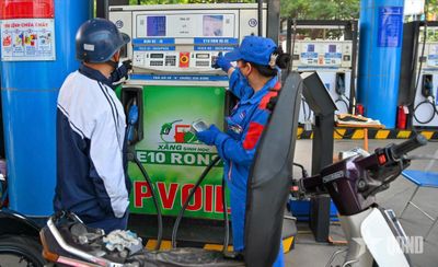 Những dòng xe nào tương thích với xăng E10?