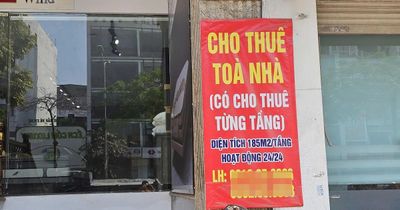 Có nhiều nhà cho thuê, doanh thu trên 1 tỷ đồng/năm nộp thuế ra sao?