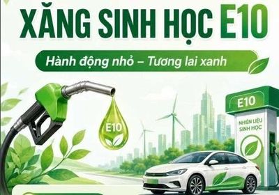 Hải Phòng: 100% cửa hàng bán xăng E10 từ ngày 1/6