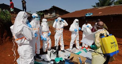 Việt Nam chưa ghi nhận ca bệnh Ebola, tăng cường giám sát người nhập cảnh