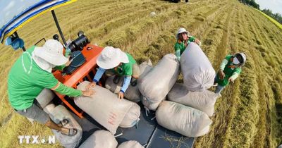 Việt Nam-châu Phi: Kết nối tri thức, mở rộng dư địa phát triển nông nghiệp