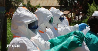 Dịch Ebola: Cộng hòa Dân chủ Congo ghi nhận ca hồi phục đầu tiên