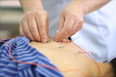 Tạo thuận lợi cho bệnh nhân khám, chữa bệnh bảo hiểm y tế trong lĩnh vực y học cổ truyền