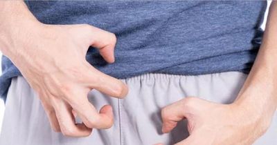 Bị con vật 'quen thuộc' trong vườn đốt chân, người đàn ông nguy kịch