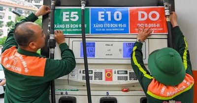 Tín hiệu tích cực từ những cửa hàng bán sớm xăng E10