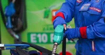 Xăng sinh học E10 thay thế xăng khoáng từ 1/6: Hiệp hội Xăng dầu khẳng định an toàn động cơ