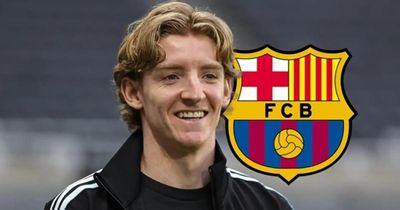 Sau bom tấn Anthony Gordon, Barcelona nhắm Julian Alvarez và Bernardo Silva cho mùa hè 2026