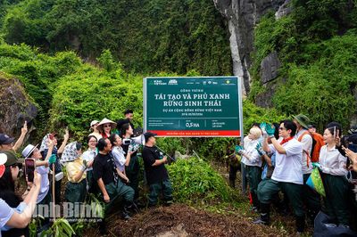 Khai trương Trung tâm Thiên nhiên lưu động và khởi động Chương trình trồng rừng 'Forestival' - Rừng Việt Nam