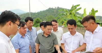 Phát triển dự án phải bảo đảm hiệu quả đầu tư, môi trường và lợi ích người dân địa phương