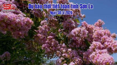 Dự báo thời tiết toàn tỉnh Sơn La ngày 30/5/2026