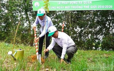 Đồng Tháp chung tay giảm nhựa dùng một lần, hướng tới môi trường sống xanh bền vững