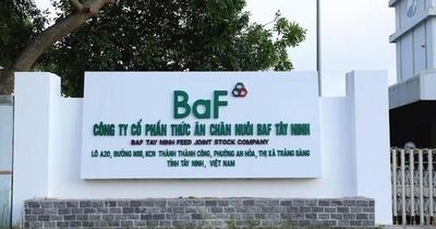 BaF Việt Nam (BAF) dự phát hành hơn 60 triệu cổ phiếu cho cổ đông, nâng vốn điều lệ lên 3.648 tỷ đồng