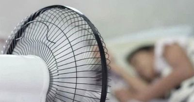 Bật quạt giải nhiệt mùa hè: 5 lỗi chí mạng 90% người Việt đang mắc phải