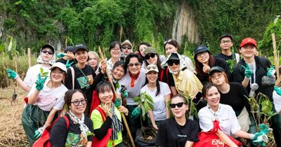 Khán giả FORESTIVAL 2026 chung tay phục hồi sinh cảnh tự nhiên tại Ninh Bình