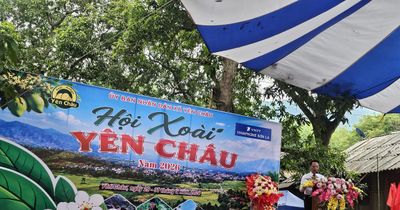 Sơn La: Khai mạc Hội xoài Yên Châu năm 2026