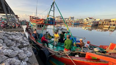 Vĩnh Long ban hành chính sách hỗ trợ chuyển đổi nghề, giải bản tàu cá