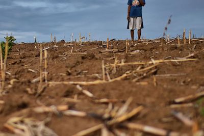 El Nino 2026 có thể mạnh nhất lịch sử