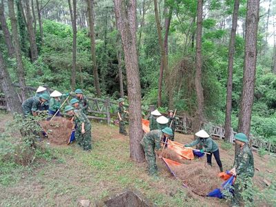 Nắng nóng cực đoan, Nghệ An cảnh báo nguy cơ cháy rừng cấp nguy hiểm