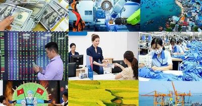 Chỉ đạo, điều hành của Chính phủ, Thủ tướng Chính phủ nổi bật tuần từ 23-29/5/2026