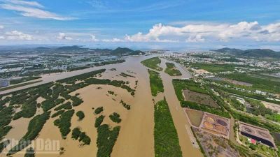 An Giang ra quân cao điểm 90 ngày thiết lập kỷ cương đất đai và trật tự đô thị