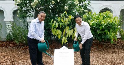 [Ảnh] Tổng Bí thư, Chủ tịch nước và Thủ tướng Singapore dự Lễ trồng cây tại Vườn Bách thảo Singapore