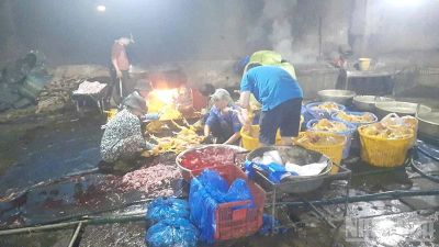 Đồng Tháp: Phát hiện 4 cơ sở giết mổ động vật trái phép