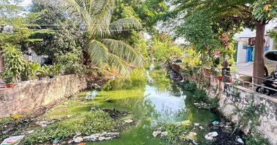 Kênh thoát nước ô nhiễm