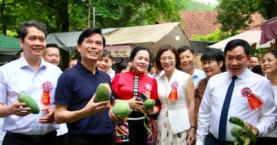 Tưng bừng Ngày hội xoài Yên Châu 2026
