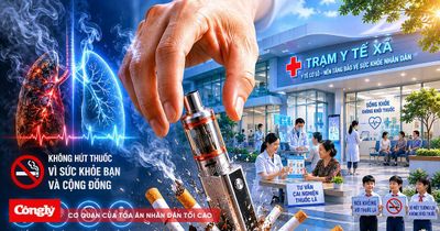 WHO thúc đẩy Việt Nam tăng cường phòng chống tác hại thuốc lá từ y tế cơ sở