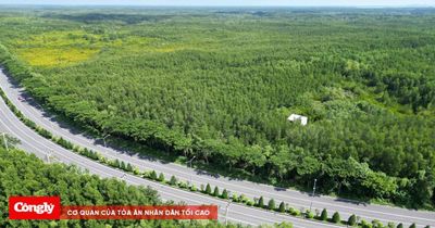 Tuyến đường sắt Bến Thành - Cần Giờ tiến thêm một bước