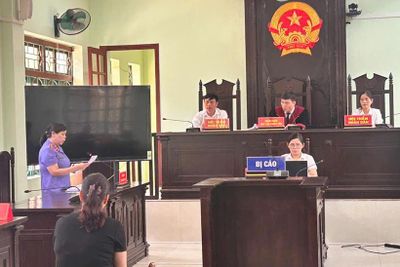 Tổ chức phiên tòa rút kinh nghiệm vụ án tranh chấp quyền sử dụng đất