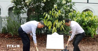 Tổng Bí thư, Chủ tịch nước và Thủ tướng Singapore dự Lễ trồng cây