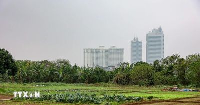 Hà Nội thông báo chấm dứt hoạt động 24 dự án chậm triển khai
