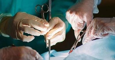 Người phụ nữ 39 tuổi phải cắt cụt chân sau khi cho chó ăn