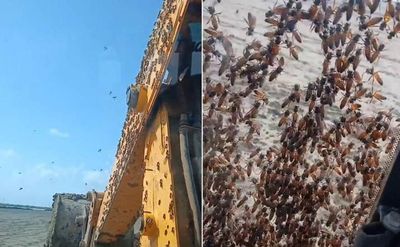 Nam công nhân sợ hãi khi thấy cảnh tượng bên ngoài máy xúc