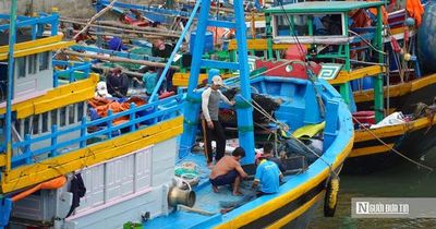 'Khoác áo' nhận diện cho tàu cá, Lâm Đồng hướng tới phát triển bền vững nghề cá