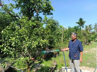 Những 'cây cao bóng cả' nơi phố biển
