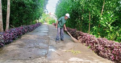 Đảng viên đi trước, việc khó có dân đồng lòng