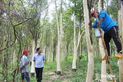 Nhịp sống mới ở vùng đồng bào dân tộc thiểu số