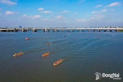 Mảnh ghép không thể thiếu của thành phố Đồng Nai