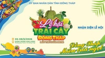 Lịch hoạt động tại Lễ hội Trái cây Đồng Tháp lần thứ I, năm 2026