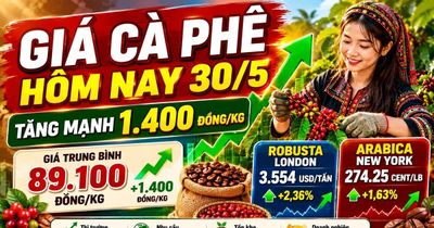 Giá cà phê hôm nay 30/5 tăng vọt, vượt mốc 89.000 đồng/kg
