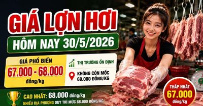 Giá lợn hơi hôm nay 30/5: Cả nước phổ biến mức 67.000–68.000 đồng/kg