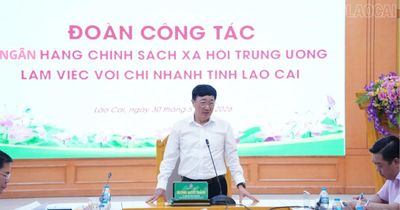 Tổng Giám đốc Ngân hàng CSXH Trung ương làm việc với Chi nhánh Ngân hàng CSXH tỉnh Lào Cai