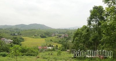 'Mỏ vàng' trên đất rừng xóm Lối