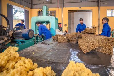 Không ngừng sáng tạo, cải tiến trong doanh nghiệp