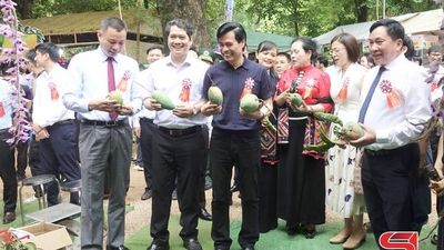 Khai mạc Ngày hội xoài Yên Châu năm 2026