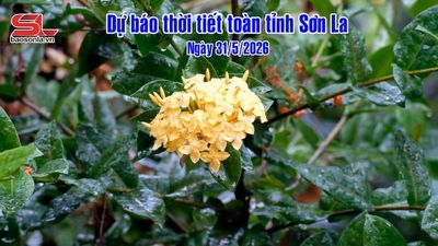 Dự báo thời tiết toàn tỉnh Sơn La ngày 31/5/2026